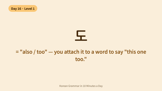 Day 16: 도 — How to Say Also/Too in Korean | Korean Grammar in 10 Minutes a Day
