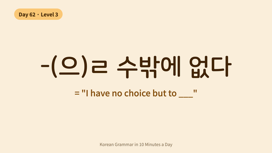Day 62: -(으)ㄹ 수밖에 없다 — "Have No Choice But To" | Korean Grammar in 10 Minutes a Day
