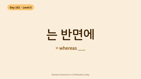 Day 102: -는 반면에 — Whereas | Korean Grammar in 10 Minutes a Day
