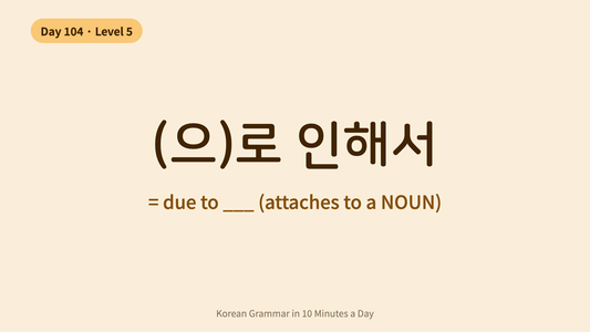 Day 104: -(으)로 인해서 — Due To | Korean Grammar in 10 Minutes a Day