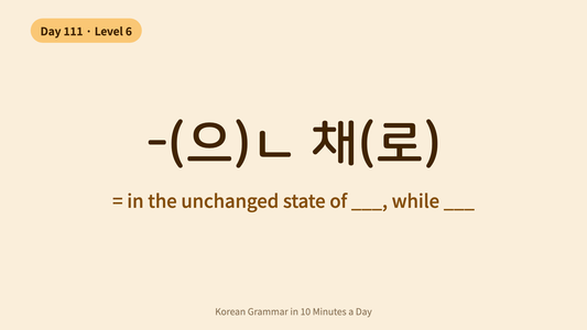 Day 111: -(으)ㄴ 채(로) — "In the State Of" | Korean Grammar in 10 Minutes a Day